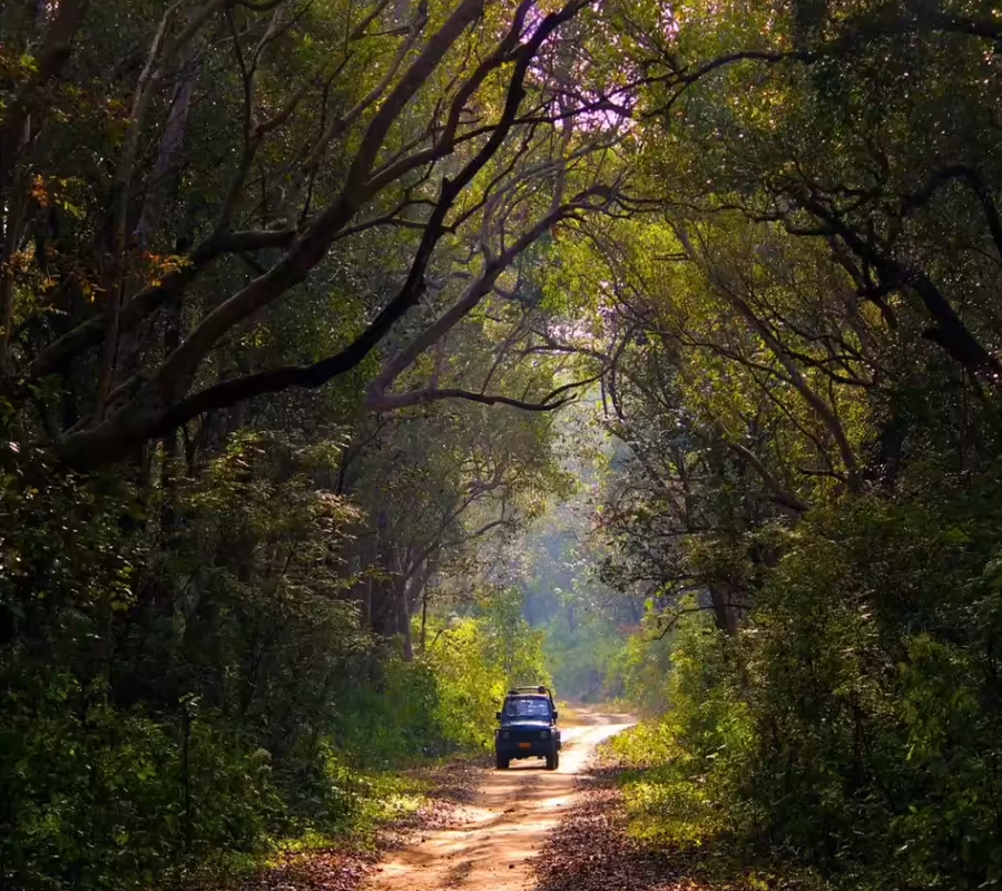 Delhi to Jim Corbett Road Trip