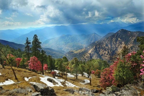 Delhi to Auli Tempo Traveller